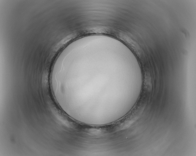 X0000110320394200906042048