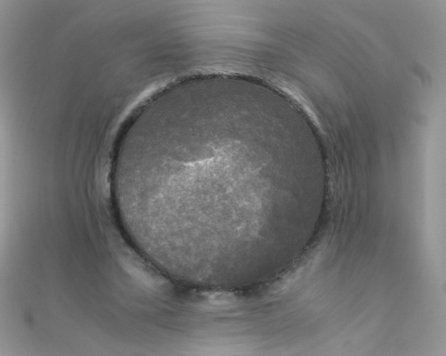 X0000110320395200906042048