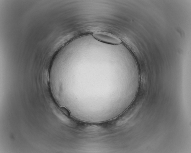 X0000110320397200906042048