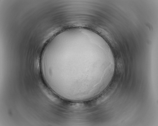 X0000110320398200906042048