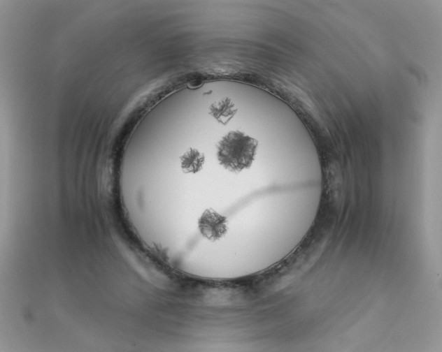 X0000110320400200906042048