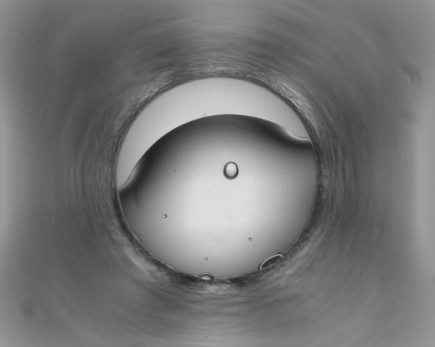 X0000110320401200906042048