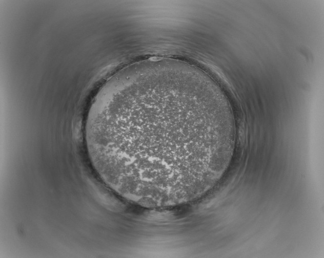 X0000110320403200906042048