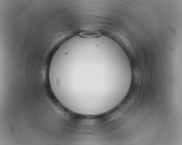 X0000110320404200906042048