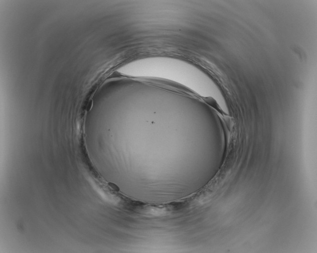 X0000110320405200906042048