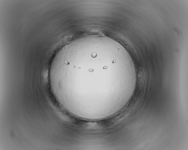 X0000110320406200906042048