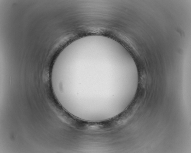 X0000110320407200906042048