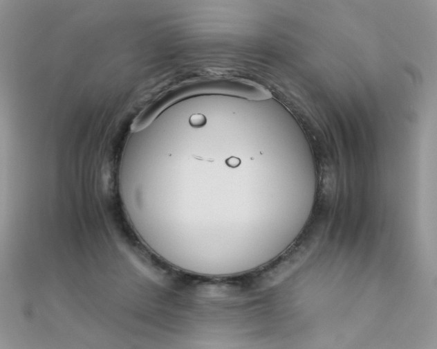 X0000110320408200906042048