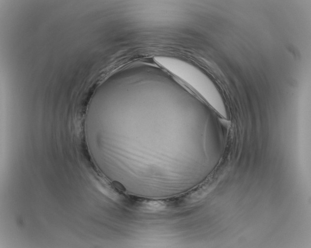 X0000110320409200906042048