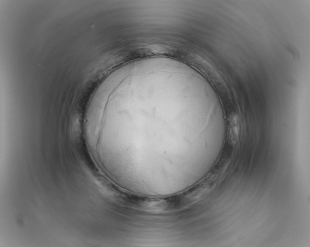 X0000110320410200906042048