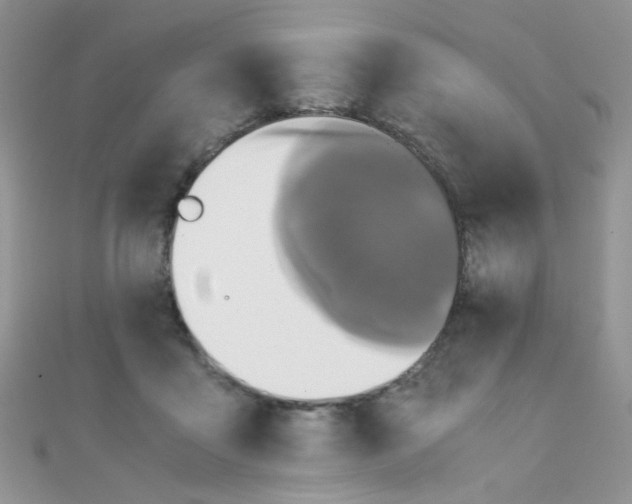 X0000110320411200906042048