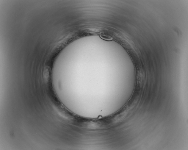 X0000110320412200906042048