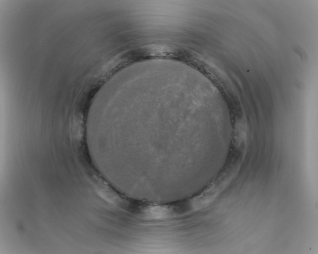 X0000110320413200906042048