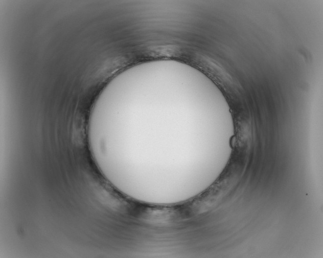 X0000110320414200906042048