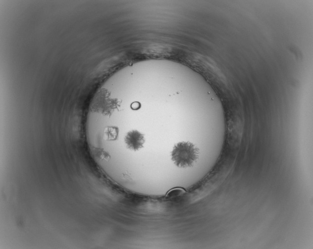 X0000110320416200906042047