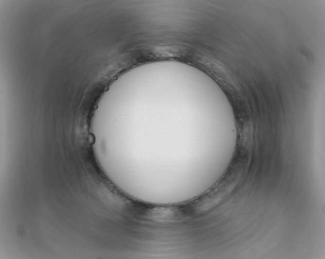 X0000110320418200906042047