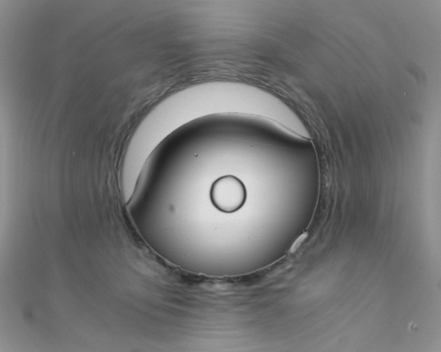 X0000110320419200906042047