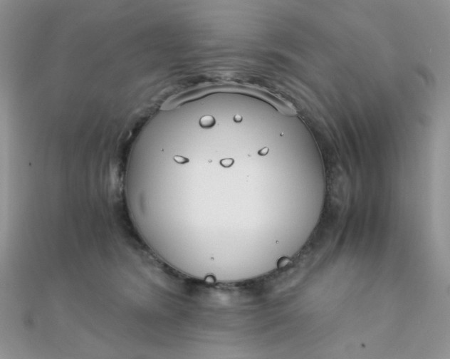 X0000110320420200906042047