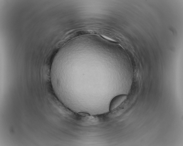 X0000110320421200906042047