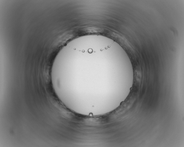 X0000110320422200906042047