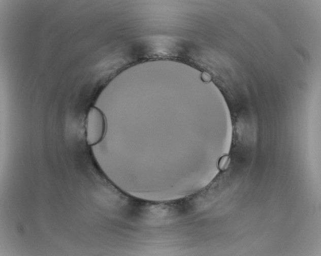 X0000110320423200906042047