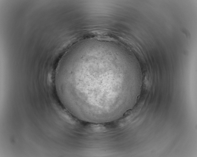 X0000110320424200906042047