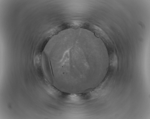 X0000110320425200906042047