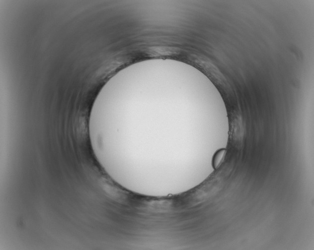 X0000110320426200906042047