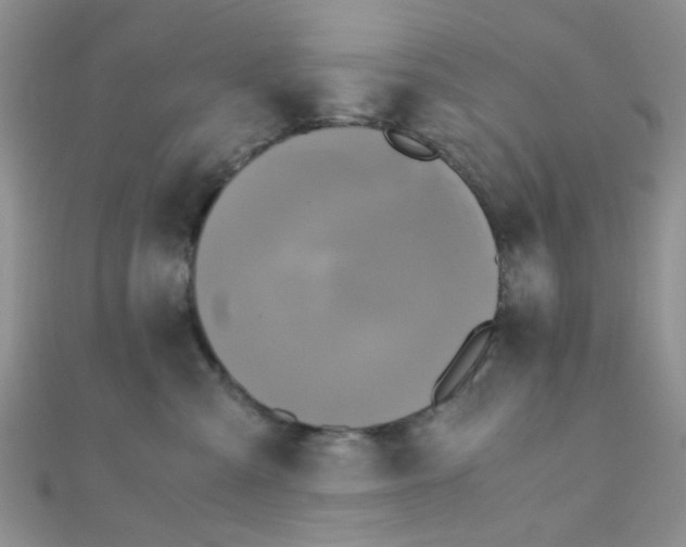 X0000110320427200906042047