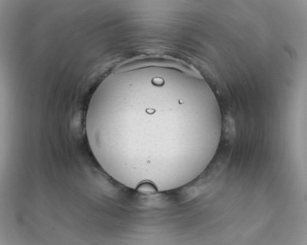 X0000110320428200906042047