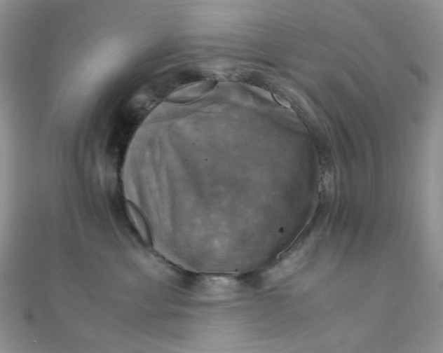 X0000110320429200906042047