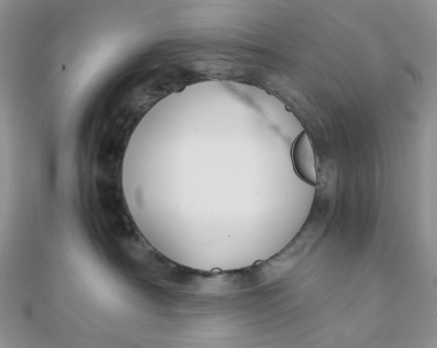 X0000110320430200906042047