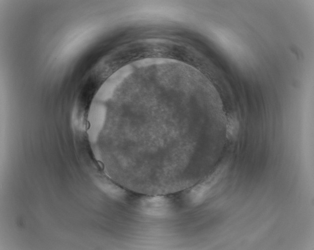 X0000110320431200906042047