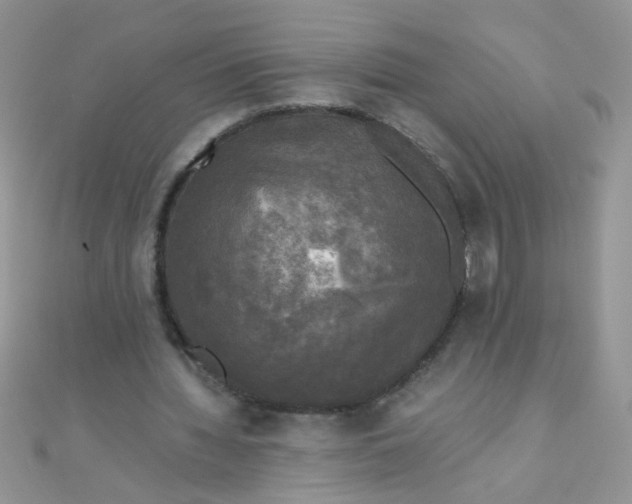 X0000110320436200906042047