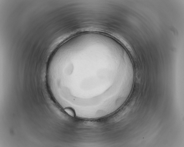 X0000110320437200906042047