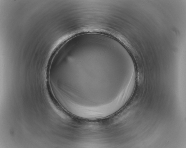 X0000110320438200906042047