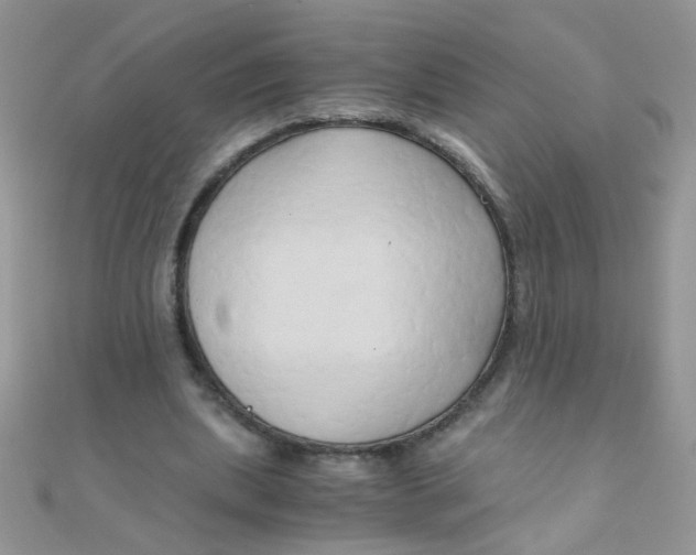 X0000110320439200906042047