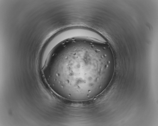 X0000110320440200906042047