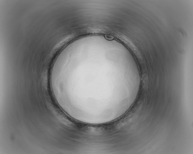 X0000110320442200906042047