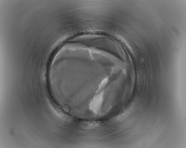 X0000110320443200906042047