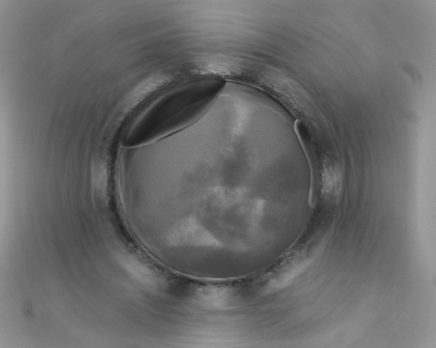 X0000110320444200906042047