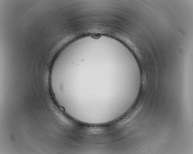 X0000110320445200906042047