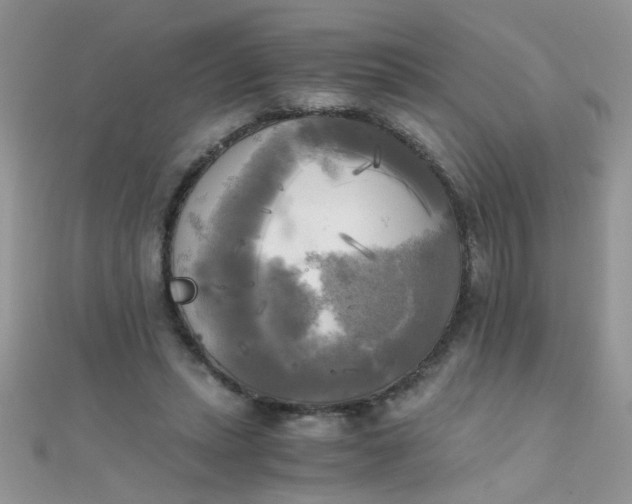 X0000110320447200906042047