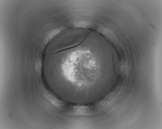 X0000110320448200906042047