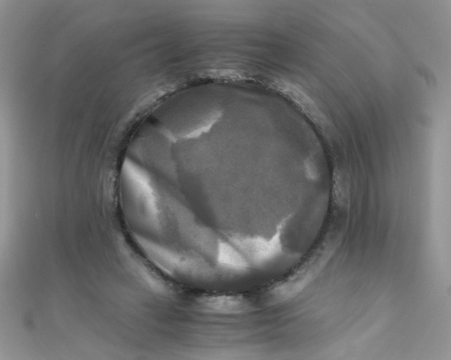 X0000110320449200906042047