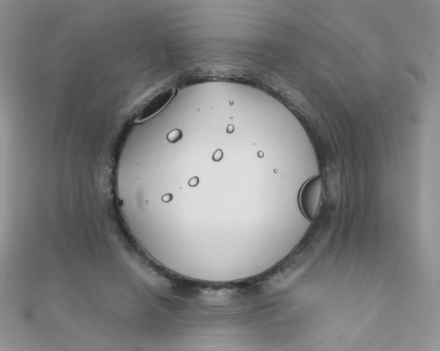 X0000110320450200906042047