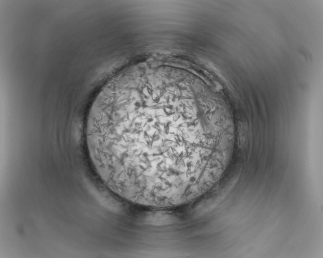 X0000110320451200906042047