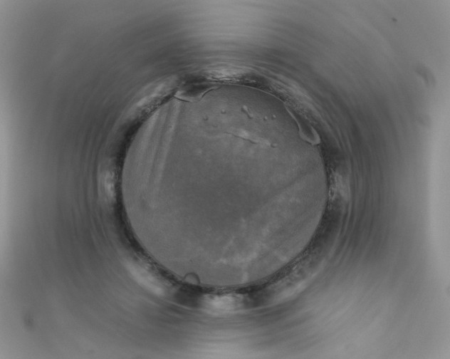 X0000110320452200906042047