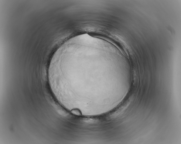 X0000110320453200906042047