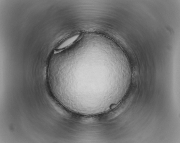 X0000110320454200906042047